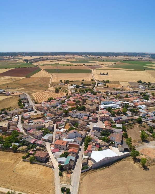 proyecto arraigo (5)