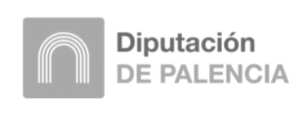 dip.palencia